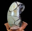 Septarian Dragon Egg Geode - Black Crystals #71982-2